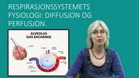 Link til Diffusjon og perfusjon - Respirasjonssystemet