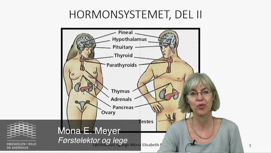 Link til Hormonsystemet 4 av 5 - Hypotalamus