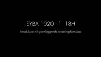 Link til SYBA 1020 - 1 18H, Introduksjon til grunnleggende ernæringskunnskap