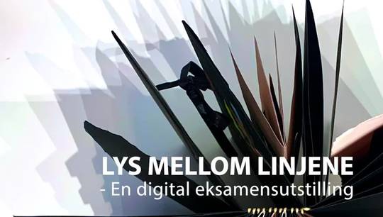 Link til Lys mellom linjene – en digital eksamensutstilling.