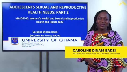 Link til Adolescents sexual and productive health needs #2