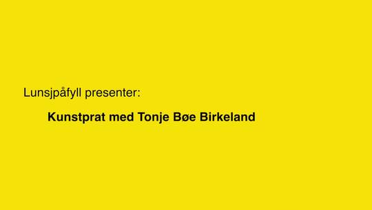 Link til Lunsjpåfyll: Helter og myter: Kvinnekarakterer i Tonje Bøe Birkelands kunstfoto