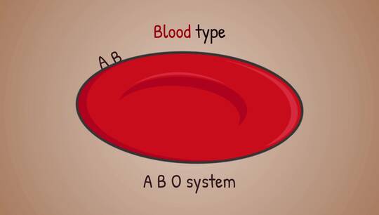Link til Blood Transfusion